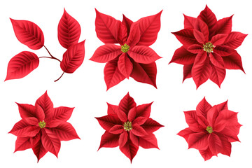 Red hibiscus isolated on transparent background cutout PNG , ai generative