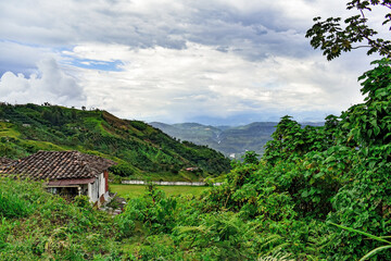 CASA VIEJA, CULTIVOS DE CAFE Y AL FONDO EL RIO CAUCA. COLOMBIA.