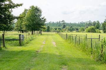 road in the countryside