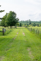 path in the field