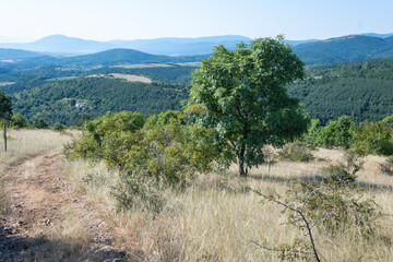 Amazing Summer Landscape of Rudina mountain, Bulgaria