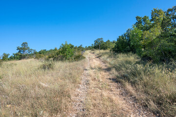 Amazing Summer Landscape of Rudina mountain, Bulgaria