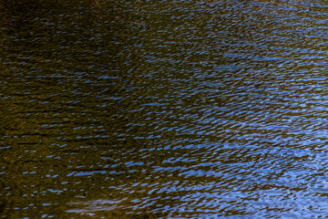Texture of water backgrownd on the sunny day in Brazil