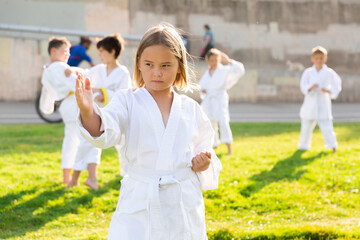 Fototapeta na wymiar Little girl make karate exercises in summer park