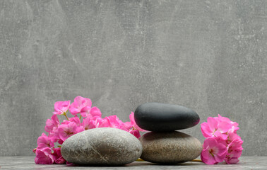 Fototapeta na wymiar pink flowers and zen stones for the podium