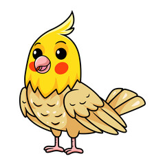 Cute lutino cockatiel bird cartoon