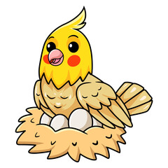 Cute lutino cockatiel bird cartoon with eggs in the nest