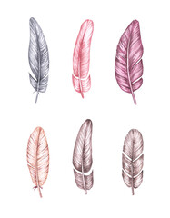 Hand drawn watercolor set of feathers