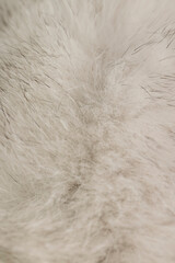 close-up of arctic fox fur used in the manufacture of clothing