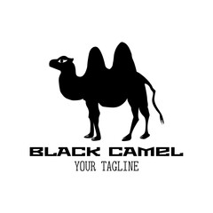 Black camel logo with text black camel on white background. Vector illustration	
