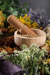 Mortar with pestle and many different herbs on table © New Africa