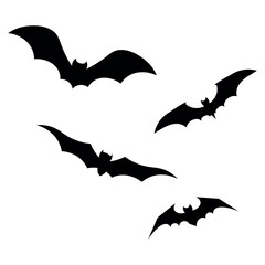 Bat Illustration