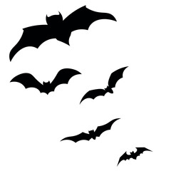 Bat Illustration