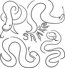 illustration of a set of snakes
