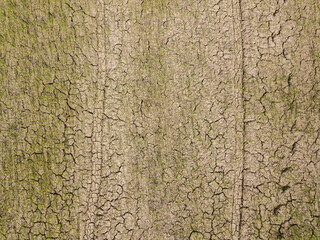 Aerial view of cracked soil surface in agriculture field.