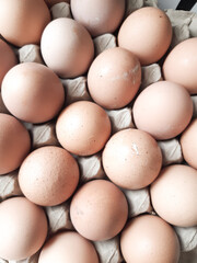 eggs in a row
