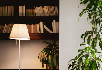 vue sur une bibliothèque à deux tablette dans une pièce avec une lampe sur pieds et des plantes