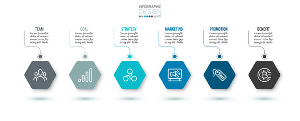 Business concept infographic template with option.