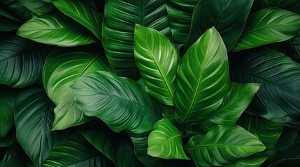 Tropical leaves background. Green leaves pattern. Tropical leaves texture, Generative AI