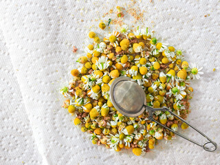 Dried camomile flowers on white background with tea diffuser. 