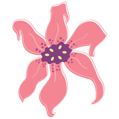 pink flower on white