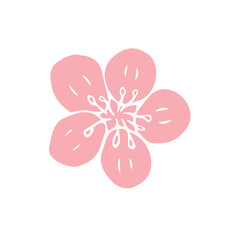 Vector hand drawn doodle sketch pink sakura flower isolated on white background