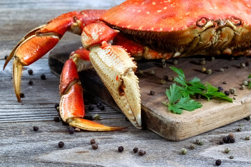 Close up freshly cooked Dungeness crab on serving board - 633562396