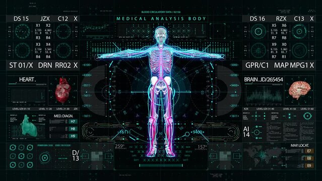 Body skeleton medical HUD interface display. High quality 4k footage