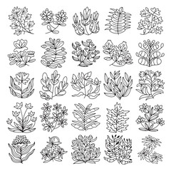 Set of hand drawn flower and leaves vector
