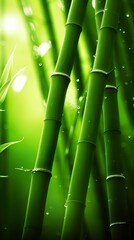 The Green Bamboo Forest. A Place of Peace and Tranquility. AI Generative
