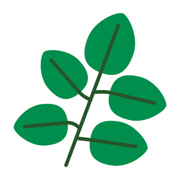 oregano icon