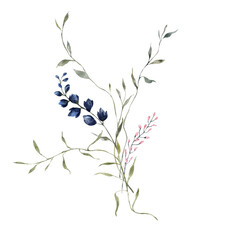 Watercolor illustration with wildflowers, herbs, grass and green leaves, isolated on white background