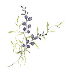 Watercolor illustration with wildflowers, herbs, grass and green leaves, isolated on white background