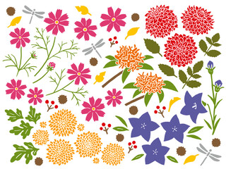 秋のお花のイラストセット
