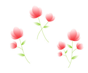 bouquet of pink flowers