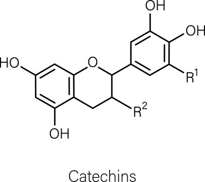 Formula of chemical structure of Anthocyanins, Catechins, Flavones.