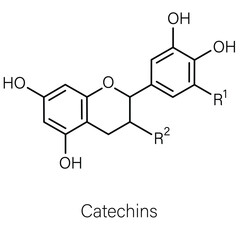 Formula of chemical structure of Pyrogallol, Gallic acid, Caffeic acid.