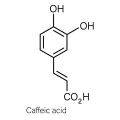 Fototapeta na wymiar Formula of chemical structure of Pyrogallol, Gallic acid, Caffeic acid.