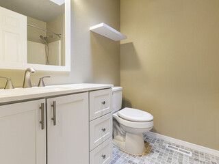 Modern residential luxury bathroom interior