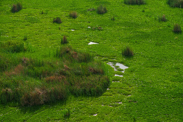 aerial view of a green field with small water banks, beautiful spring nature