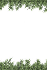 Digital png illustration of christmas trees with stars on transparent background