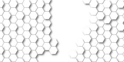 Background with white and black lines 3d Hexagonal structure futuristic white background and Embossed Hexagon , honeycomb white Background ,light and shadow ,Vector. 