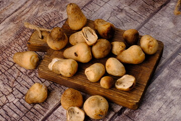 Jamur Merang. Mushroom is a species of food fungus that is widely cultivated in East Asia and Southeast Asia which have tropical or subtropical climates. Volvariella volvacea. Asian and Chinese food.
