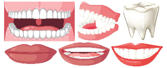 Dental and Teeth Elements in Vector Cartoon Style