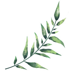 green leaves isolated on white background - watercolor