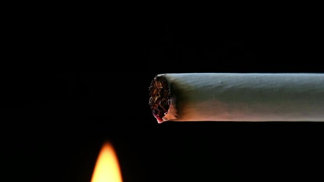 Fire burning and Lighting up marijuana in white rolling paper in Black Background. Smoking kills, Smoking causes cancer concept. Close Up macro shot
