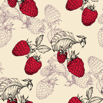Vector seamless pattern. Doodle raspberries and blackberries with abstract elements. Hand drawn illustrations.