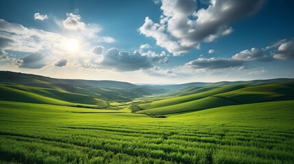 Beautiful shot of a large agricultural field
