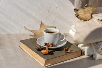 Hot coffee cup, book, fall light brown leaves, knitted sweaters in neutral colors on beige table and white wall background with sunlight shadow. Aesthetic pastel autumn still life.