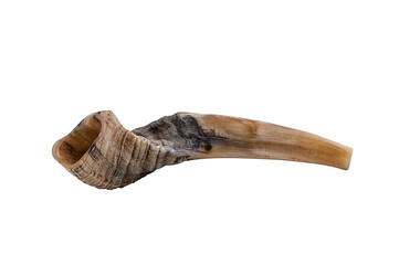 Horn of organic origin in beige tones, isolated